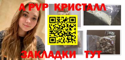 PSILOCYBIN Тула