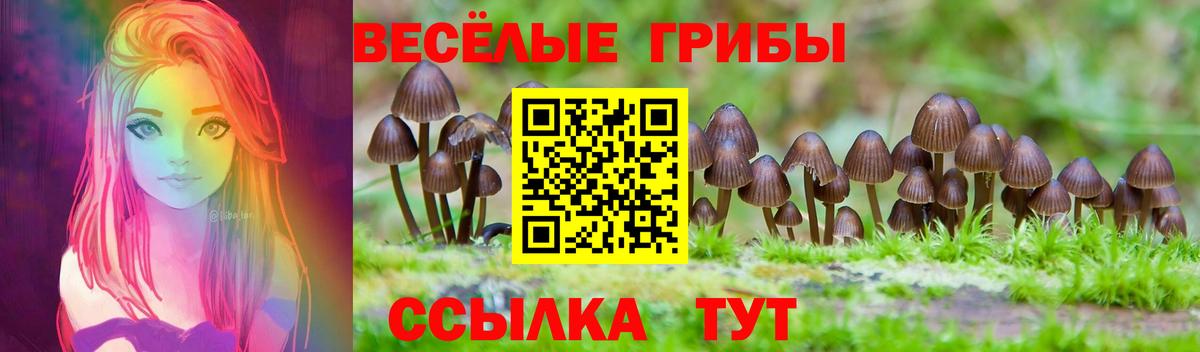Галлюциногенные грибы Magic Shrooms Новороссийск