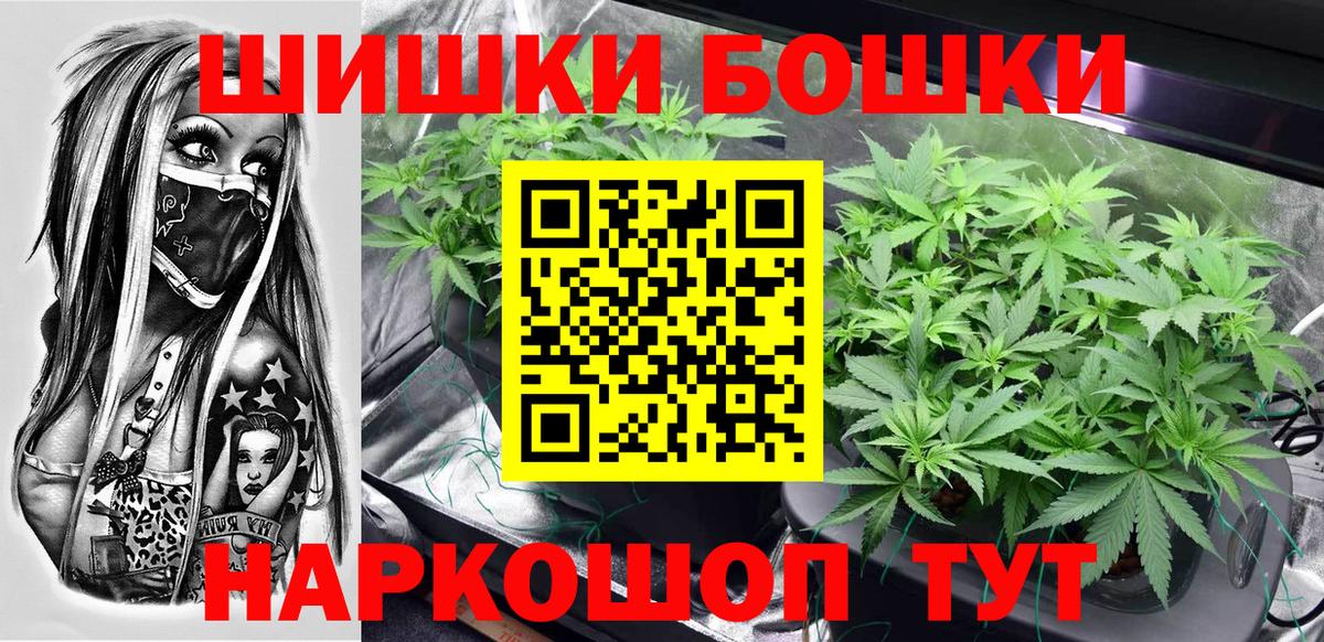 Бошки марихуана сатива Новороссийск